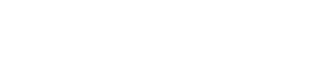 Monarch 301 Logo